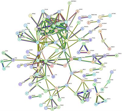 Bioinformatics analysis of the association between obesity and gastric cancer
